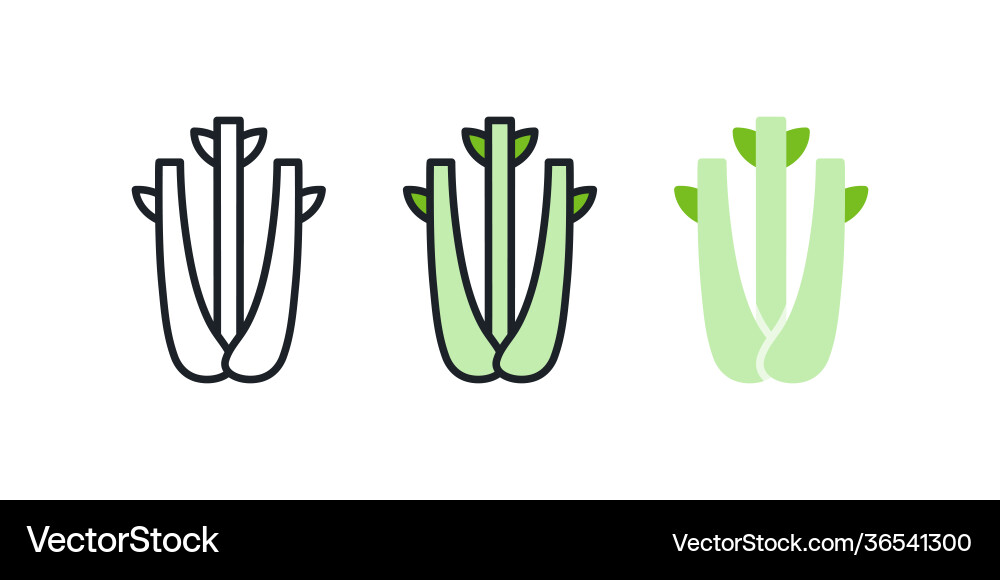 Celery icon linear color contour shape Vector Image