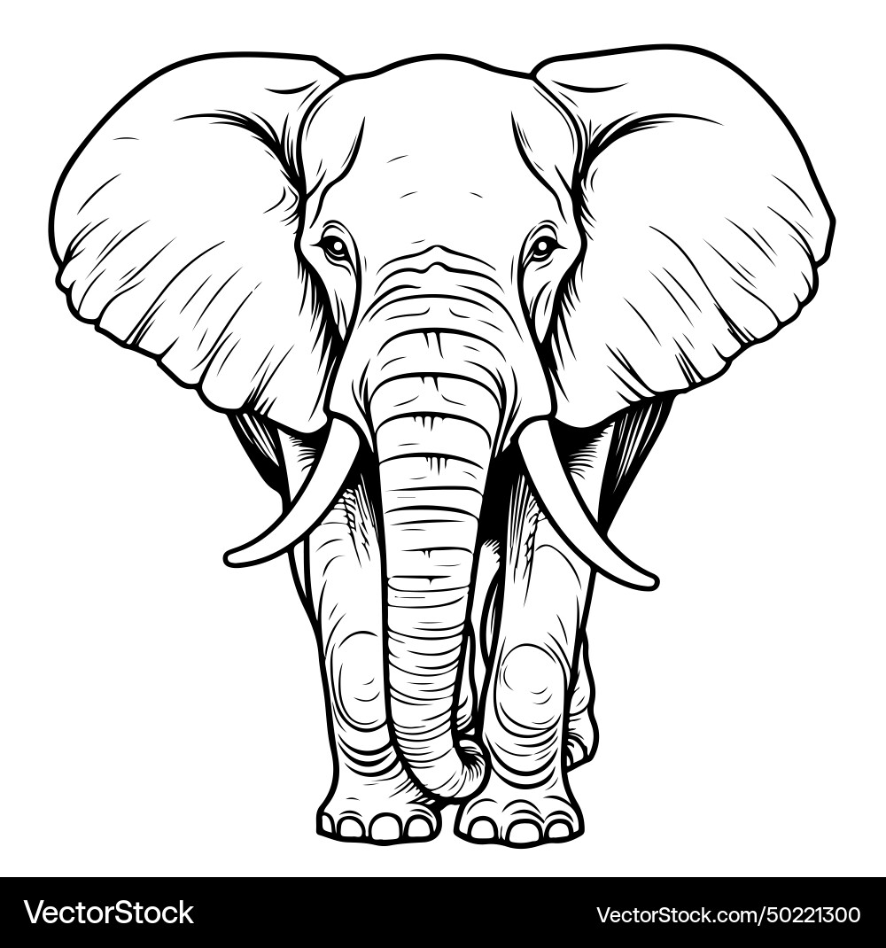 Doodle Elephant Sketch - Hand Drawn Logo Vektorbild