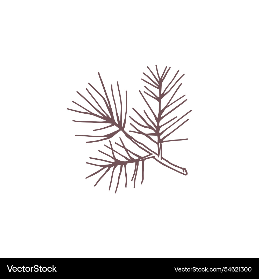 Icon of a coniferous tree twig with needles Icon of a coniferous tree twig with needles vector image
