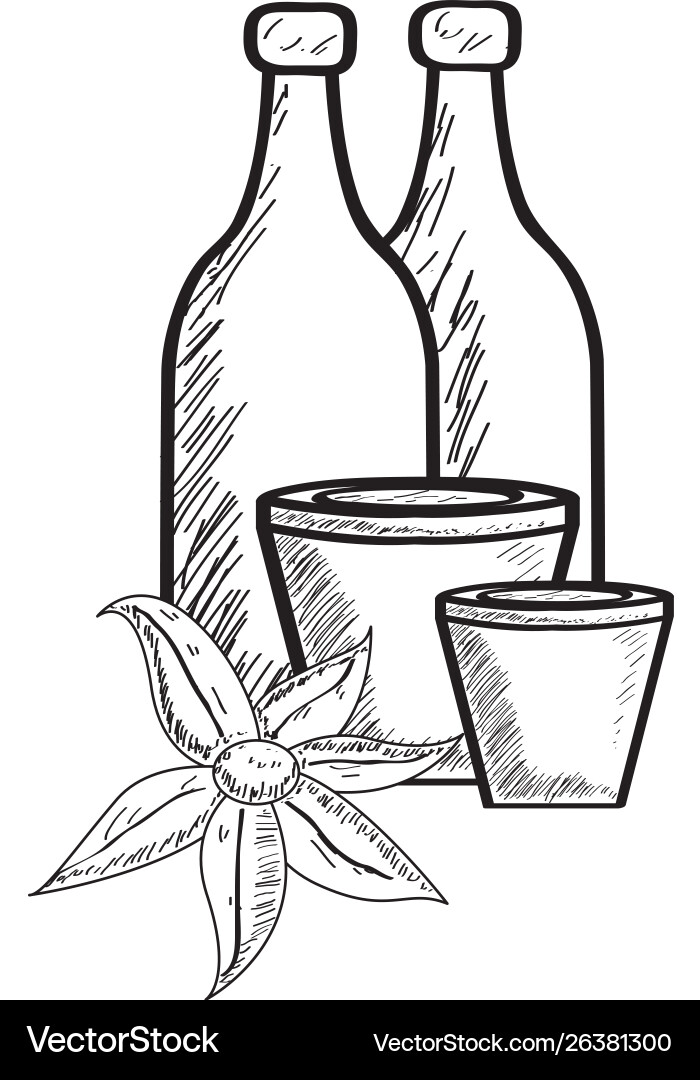 Sketch spa objects vector image