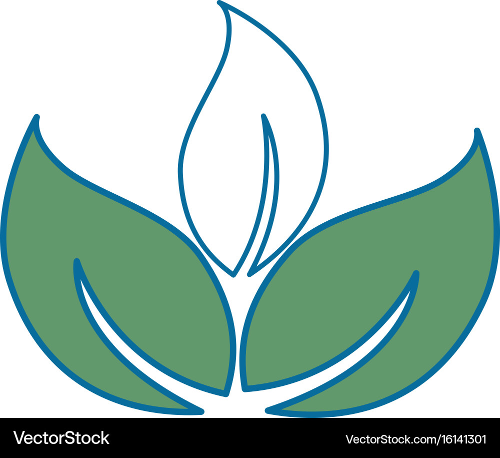 Isolated three sheets trees vector image