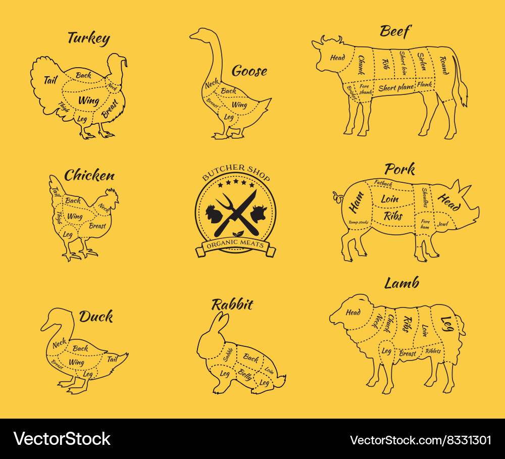Meat Cuts & Animal Schematics Royalty Free Vector Image