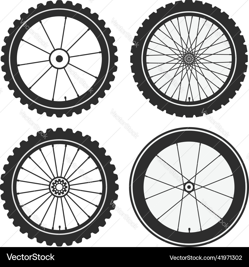Bike Wheel Detail Vector Image