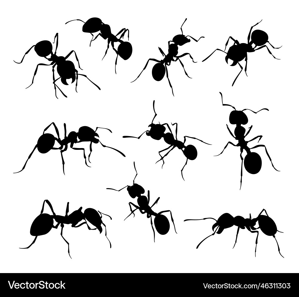 Ant set monochrome black insect wild animal bug Ant set monochrome black insect wild animal bug vector image