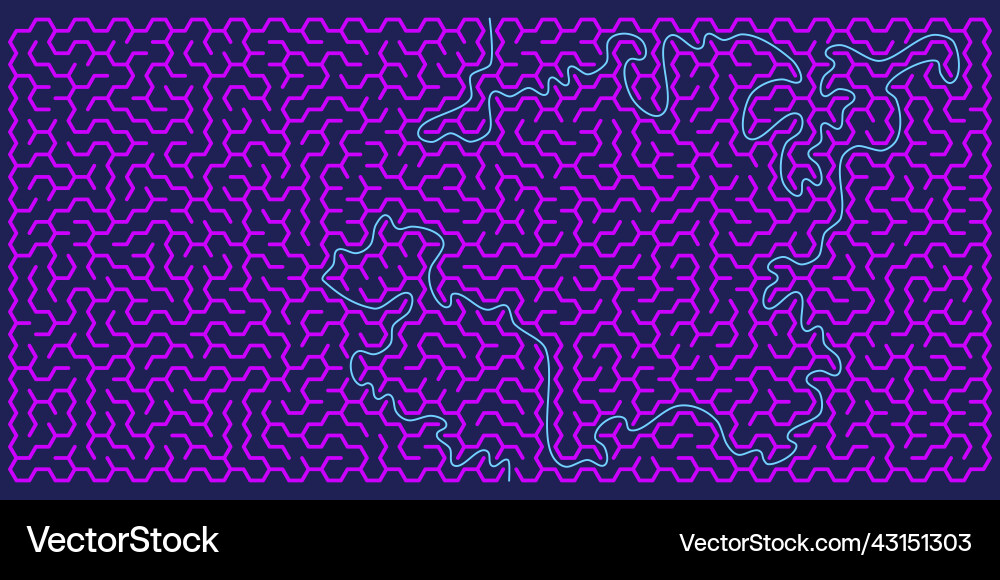 Hexagonal maze in form of rectangle with solution vector image
