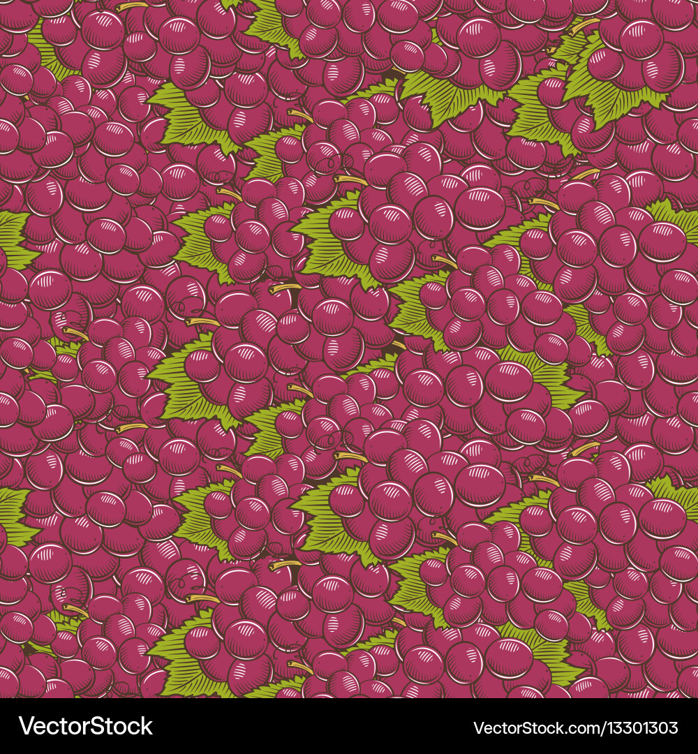 Red Grapes Seamless Pattern Vector Image