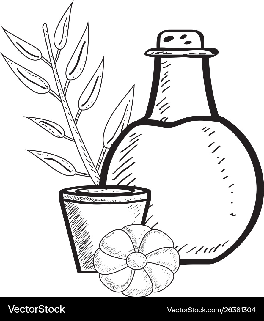 Sketch spa objects Sketch spa objects Vector Image