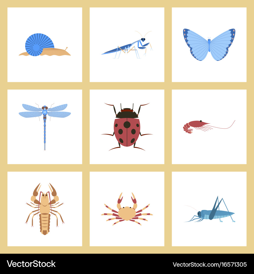Assembly flat bug snail butterfly dragonfly vector image