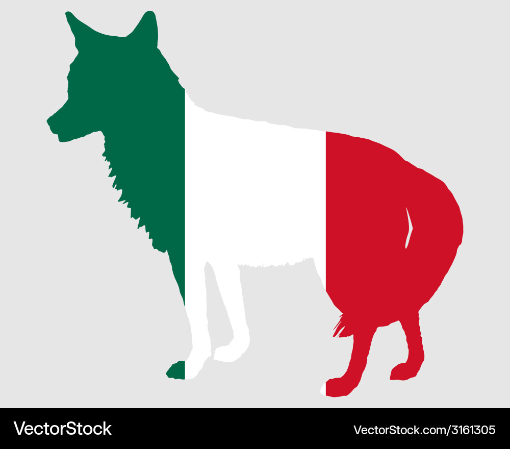 Coyote mexico vector image