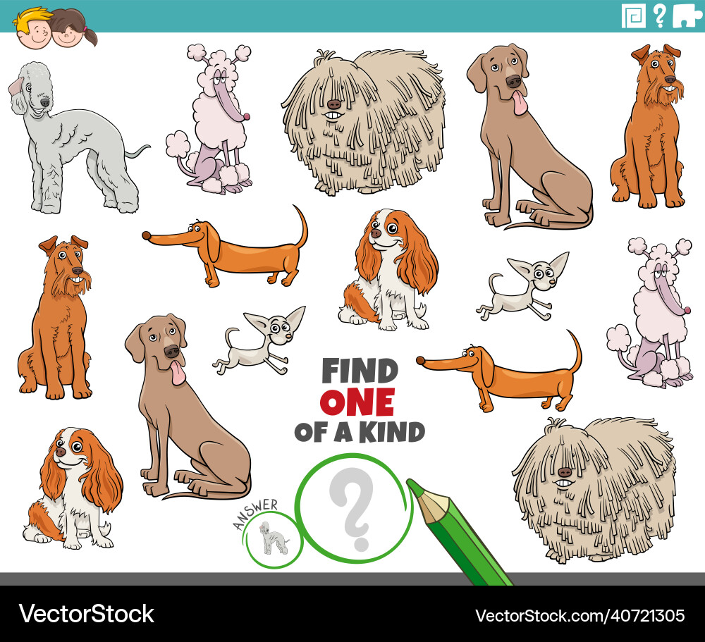 One of a kind game for kids with cartoon purebred One of a kind game for kids with cartoon purebred vector image