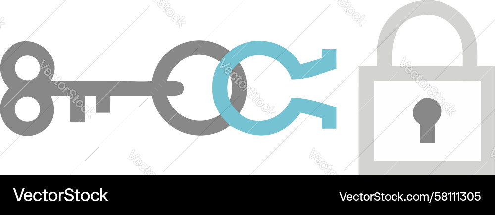 Secure Key Chain Lock Icon Vector Image