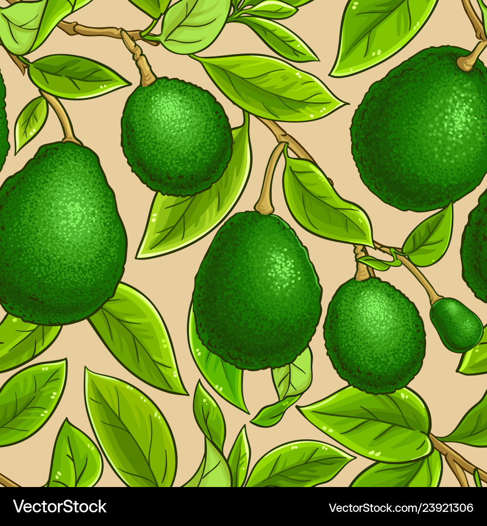 Avocado Branch Pattern Vector Image