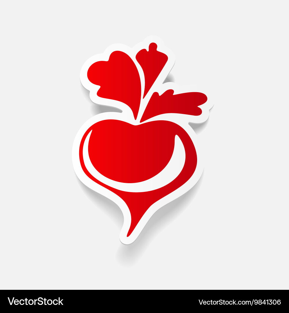 Realistic design element beet Vector Image