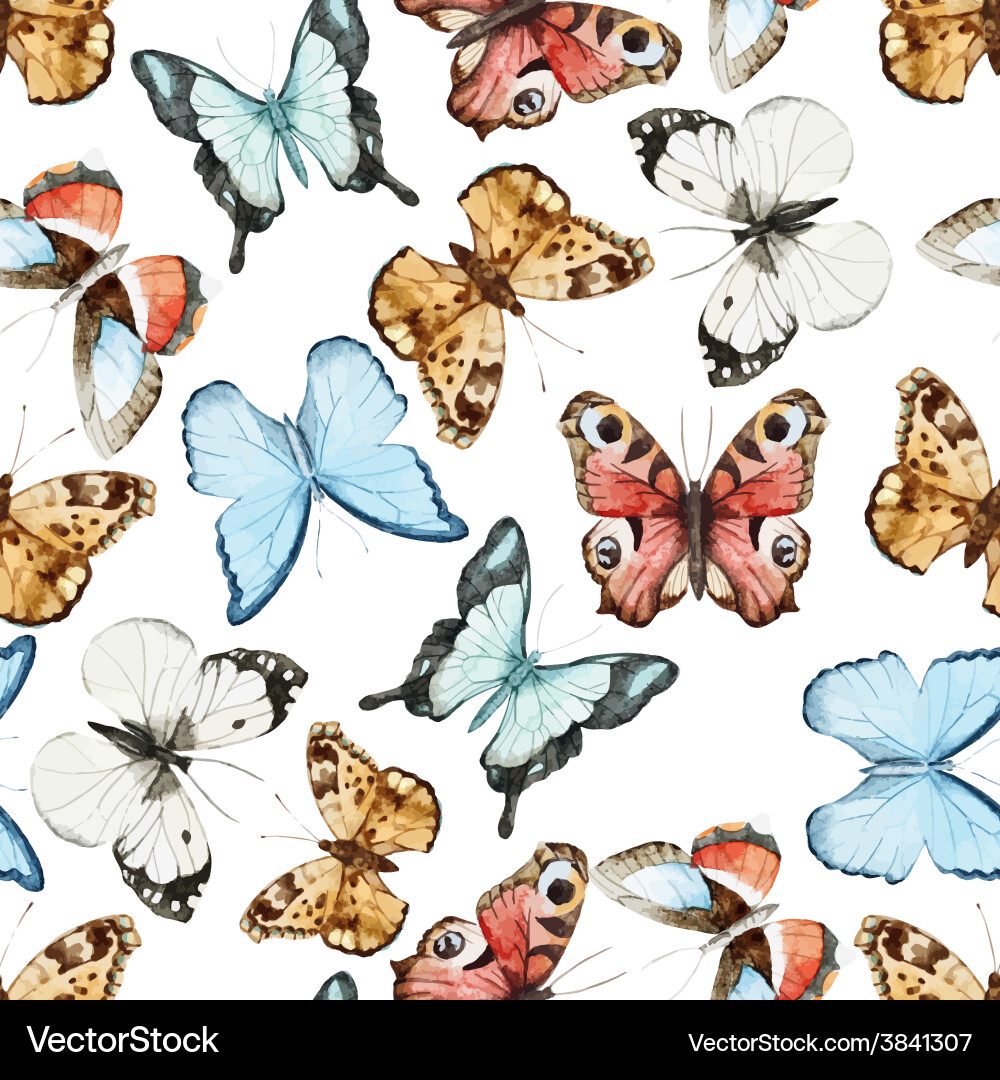 Butterfly pattern Royalty Free Vector Image - VectorStock