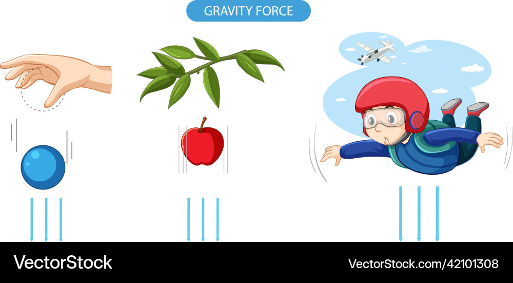 Gravity force experiment example Gravity force experiment example vector image