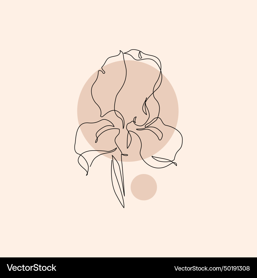 Iris flower in continuous line art drawing style Iris flower in continuous line art drawing style vector image