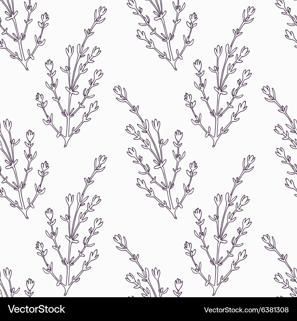 Thyme Branch Outline Pattern vector image