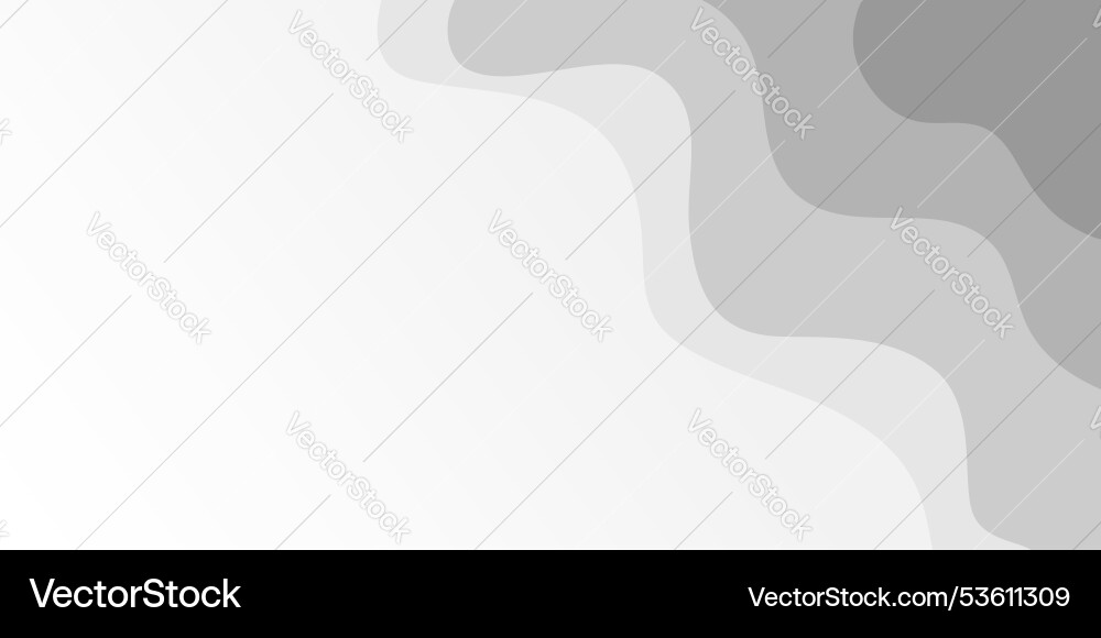 Abstract white background with gray lines curve vector image