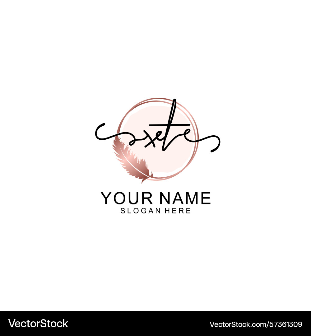 Handwritten xt initial logo with circle Vector Image