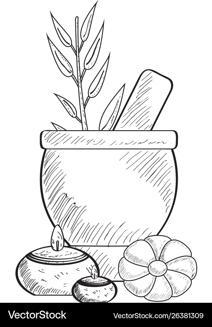 Sketch spa objects vector image