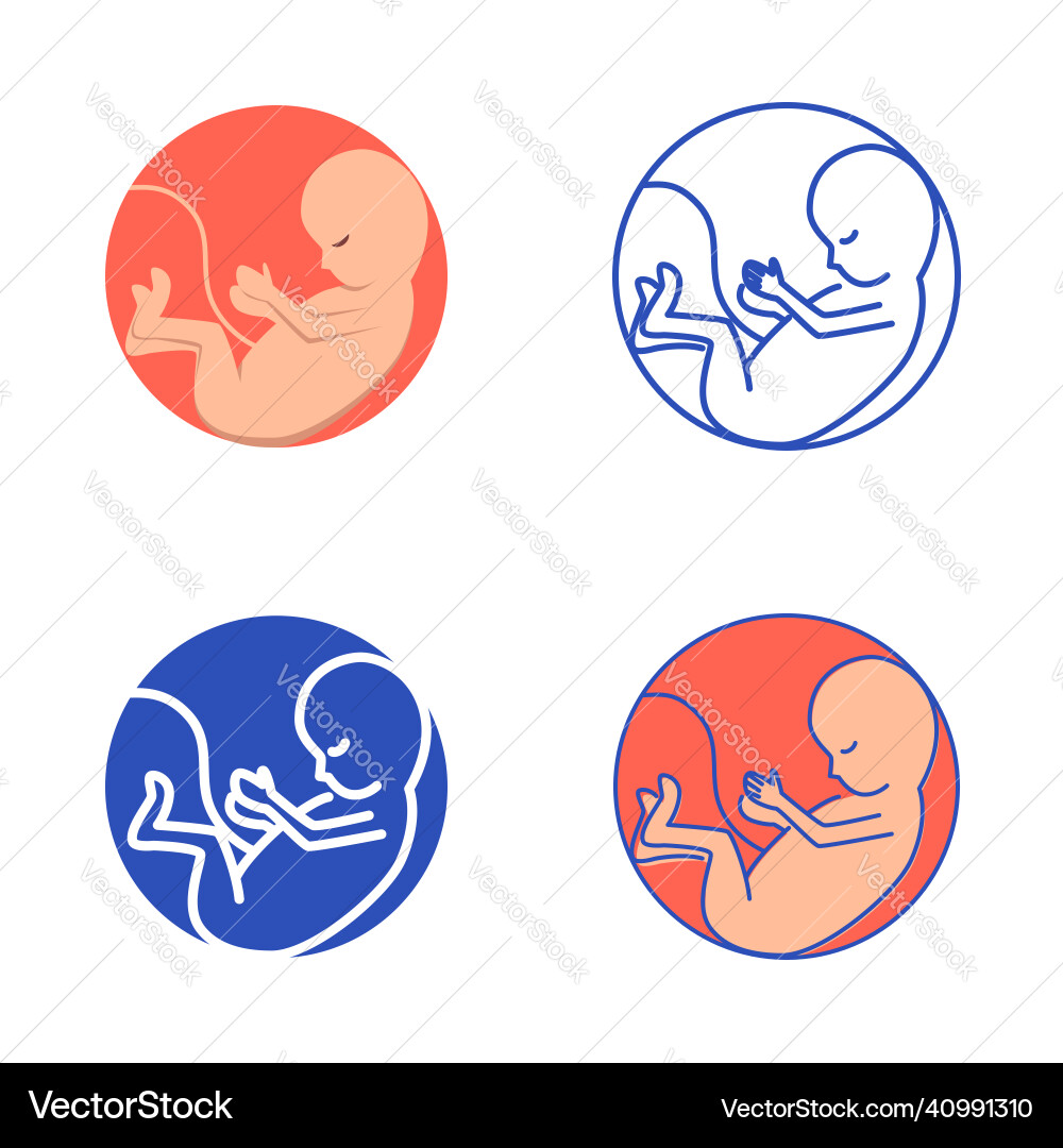 Embryo child icon set in flat and line style Embryo child icon set in flat and line style vector image