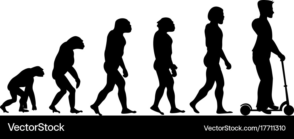 Menschliche Evolution Affe zum Menschen Vektorbild