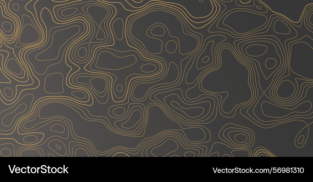 Modern abstract design featuring contour lines Modern abstract design featuring contour lines vector image