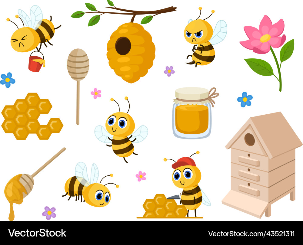 Cartoon Bee and Honey Characters Vector Image