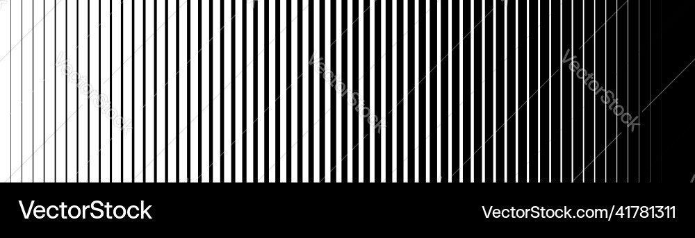 Line pattern vertical straight background black Vector Image