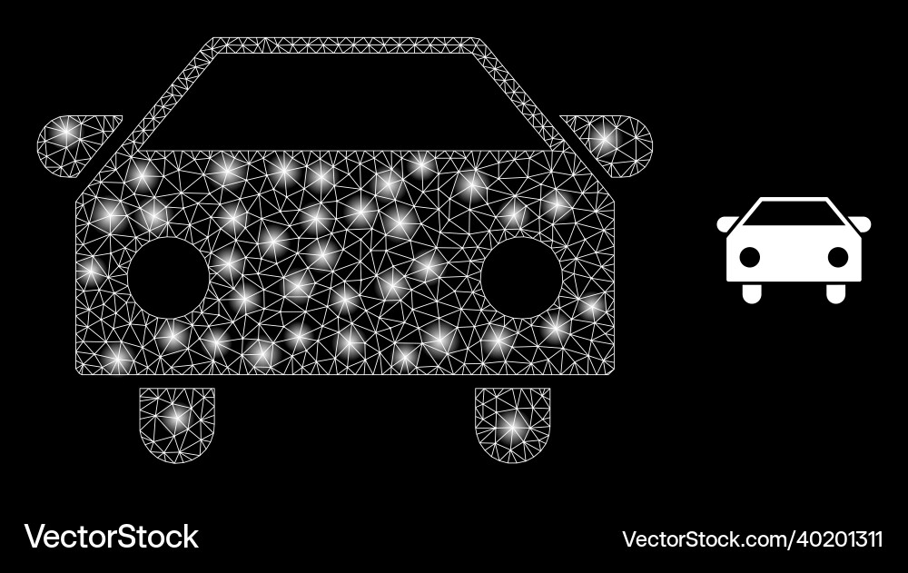 Mesh net car with light wire frame spots Mesh net car with light wire frame spots vector image