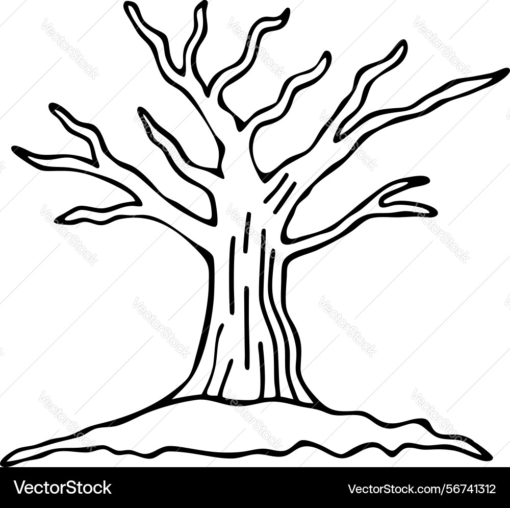 Abstract leafless tree in line art minimalist Vector Image