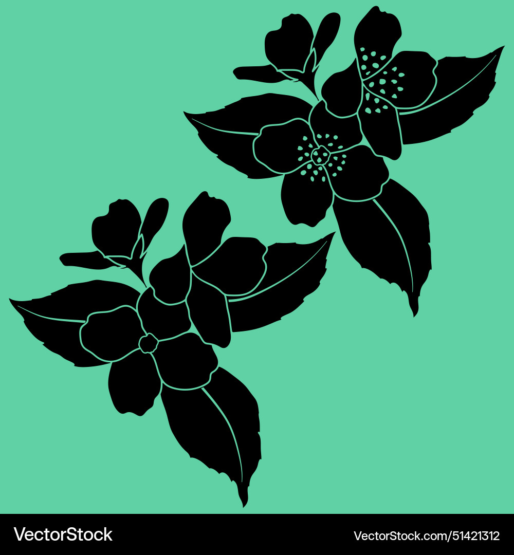 Frühling blühende Jasmin Blumen Zweig Silhouetten Frühling blühende Jasmin Blumen Zweig Silhouetten vektorbild