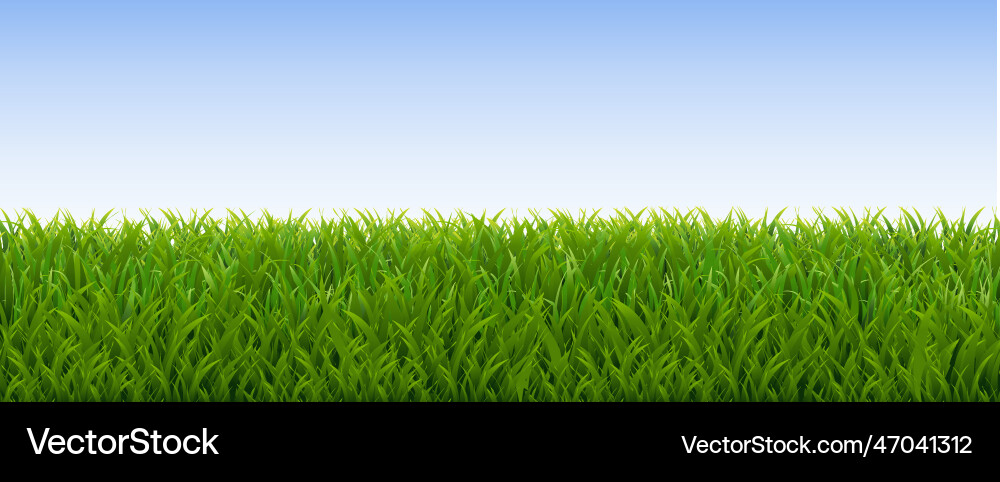 Grass border and with white background Vector Image