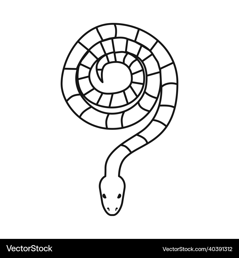 Isolated object of serpent and viper logo web Vector Image