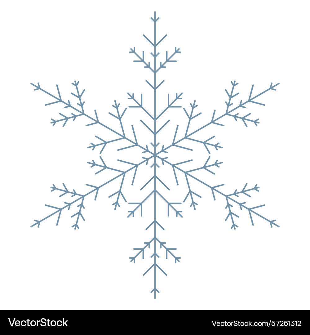 Snowflake isolated Vector Image