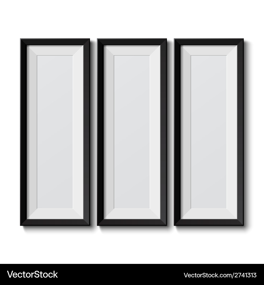 Set of Empty Picture Frames vector image