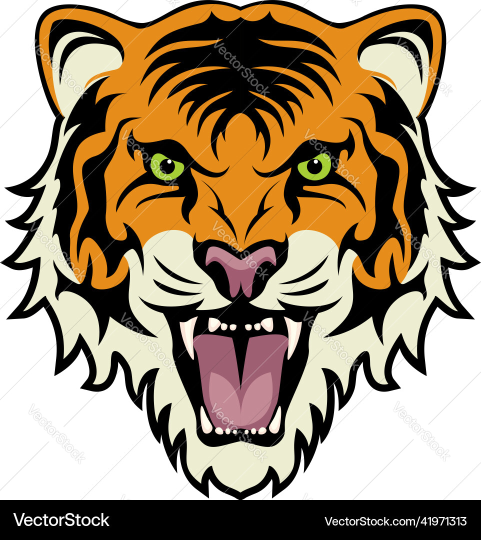 Stylized face of angry tiger Stylized face of angry tiger vector image