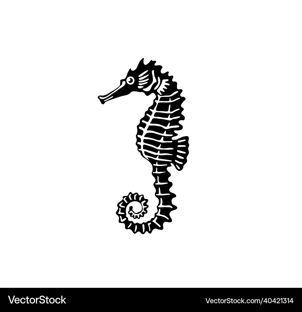 Abstract silhouette seahorse vector image