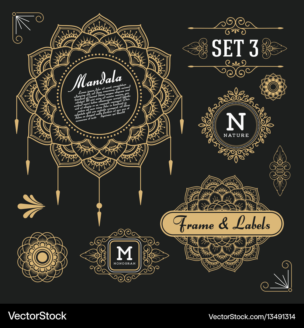 Retro Frame & Label Elements vector image