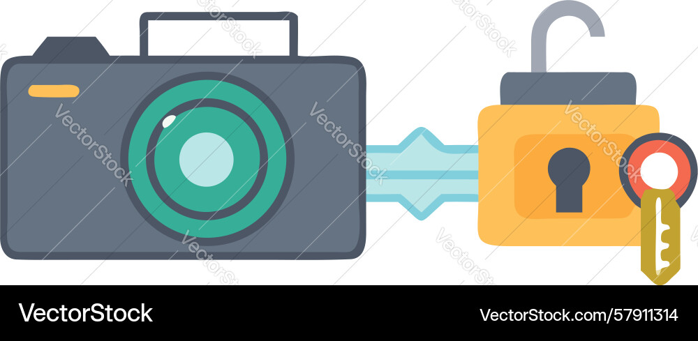 Secure camera access digital key icon design vector image