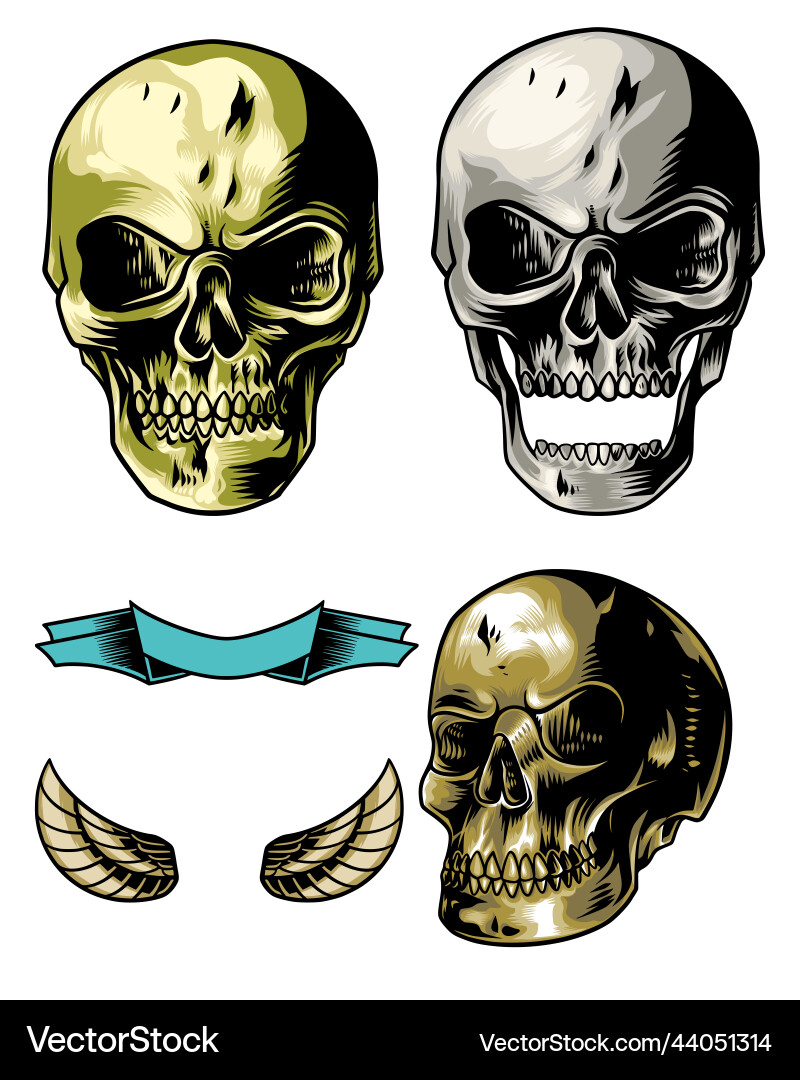 Skull pack with ribbon and object Skull pack with ribbon and object Vector Image