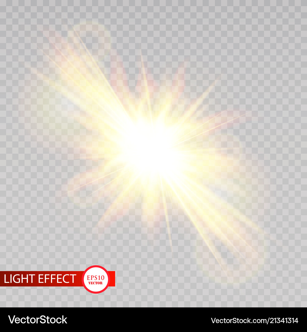 Transparent sunlight special lens flare Transparent sunlight special lens flare vector image