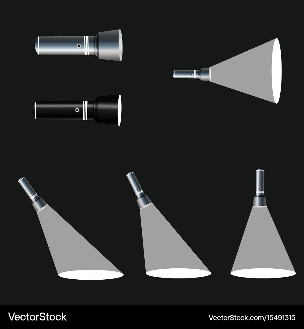 Flashlight isolated on transparent background vector image