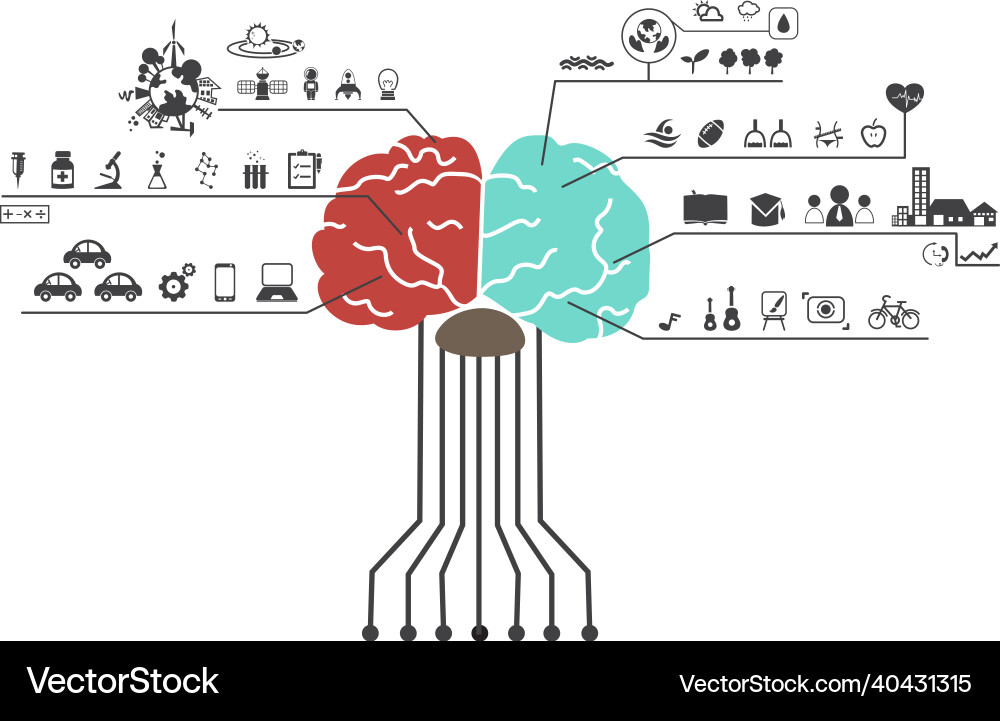 Left and right brain functions icon Left and right brain functions icon vector image