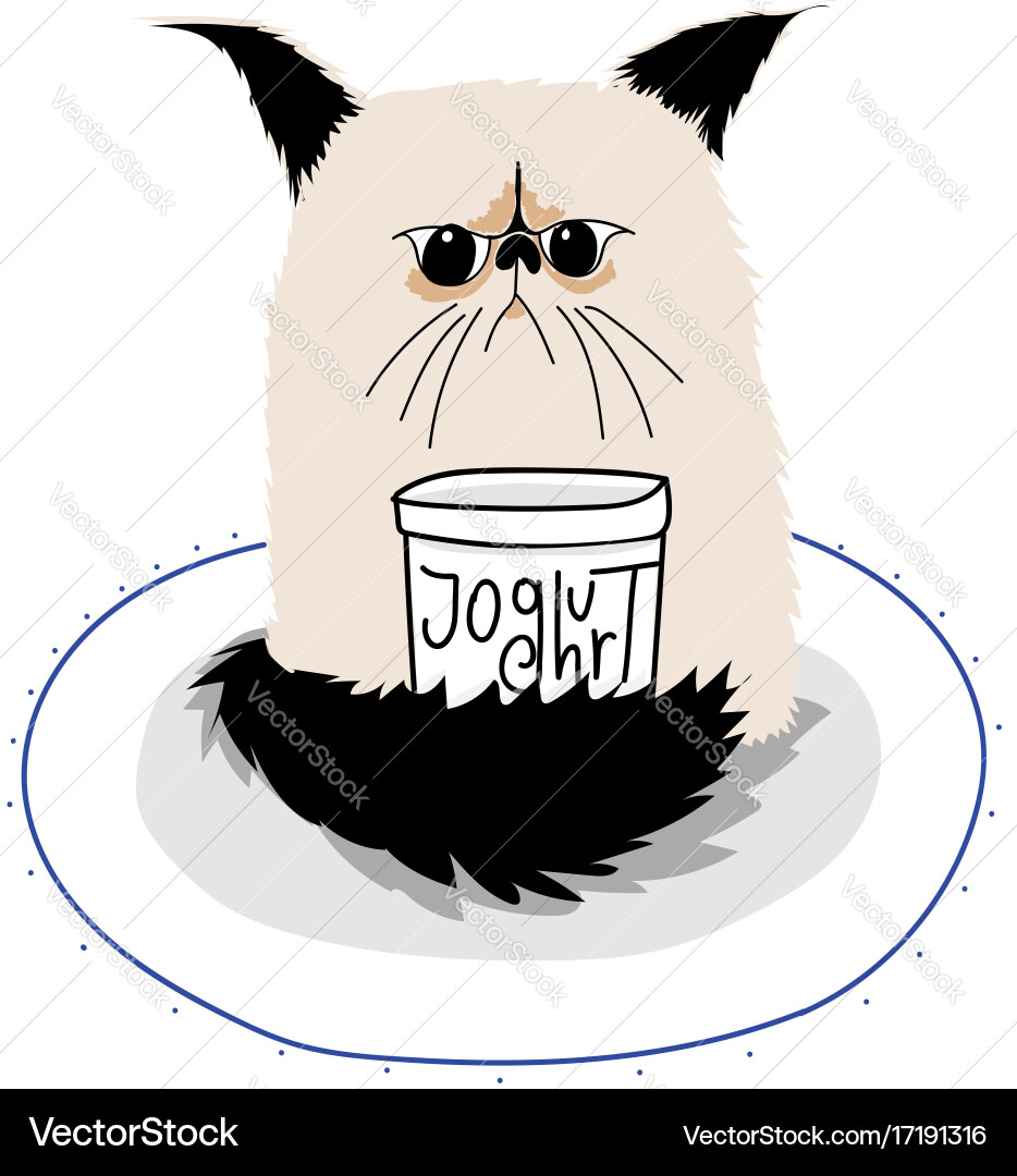 Grumpy cat with yoghurt jar Vector Image