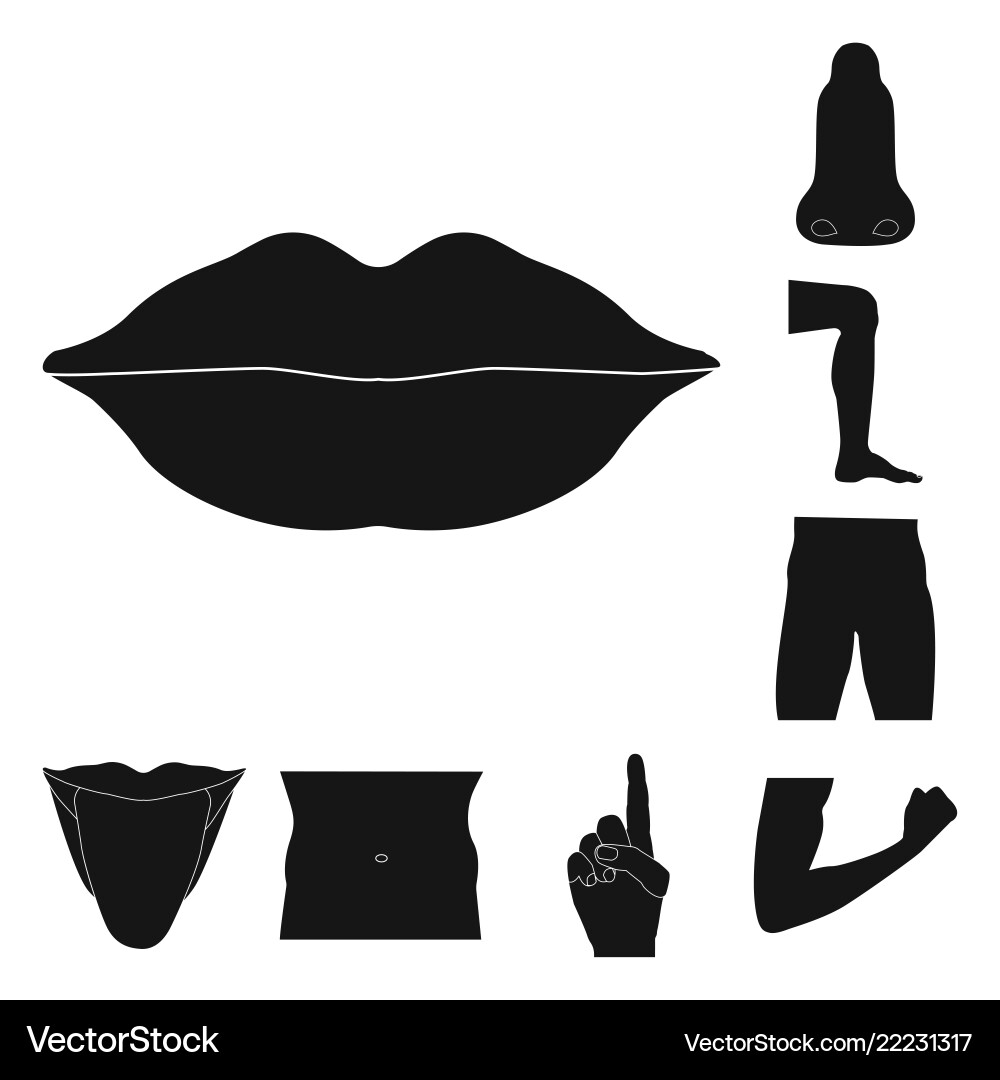 Design of human and part symbol collection Design of human and part symbol collection vector image