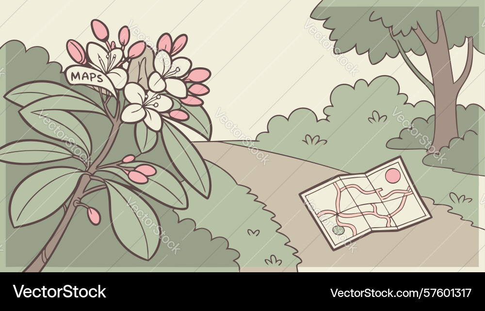 Scenic path with trees and map travel adventure Vector Image