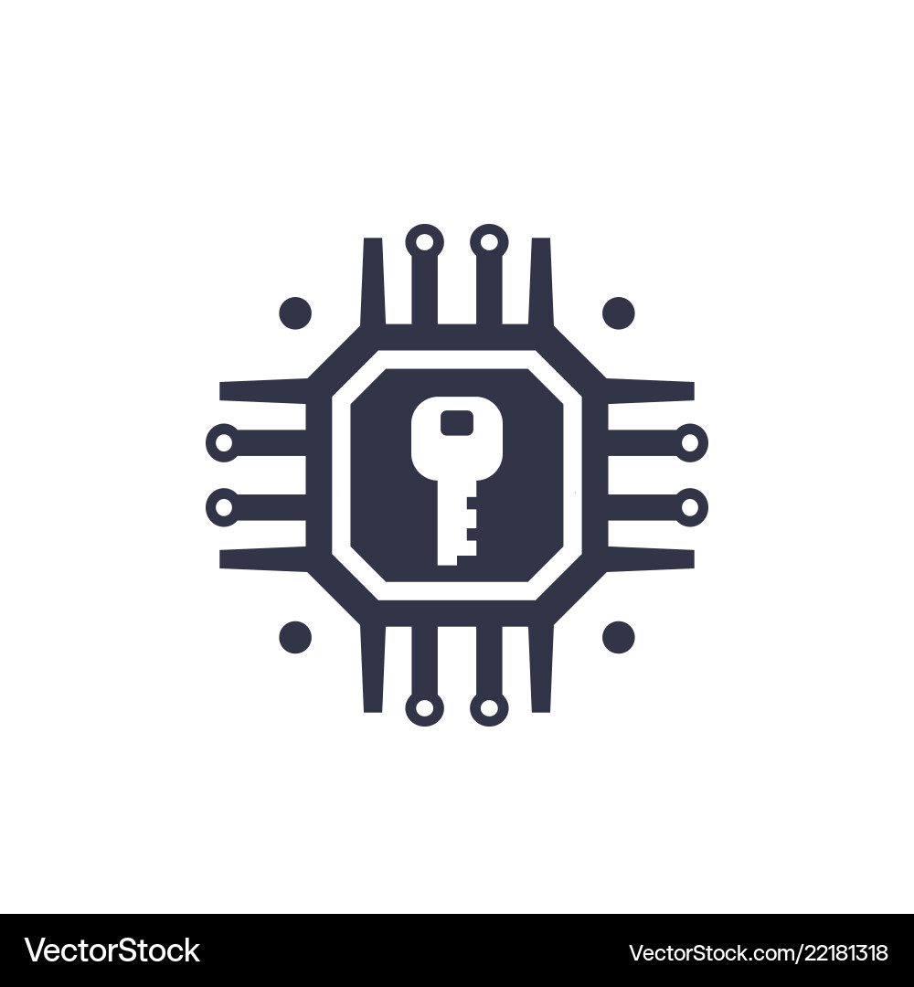 Data Protection & Encryption Icon vector image