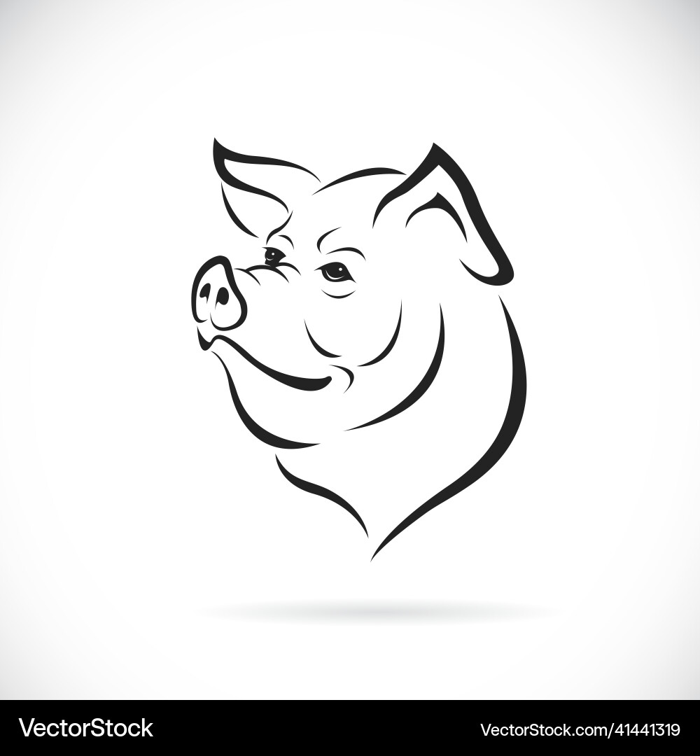 Pig head design on white background animal Pig head design on white background animal vector image