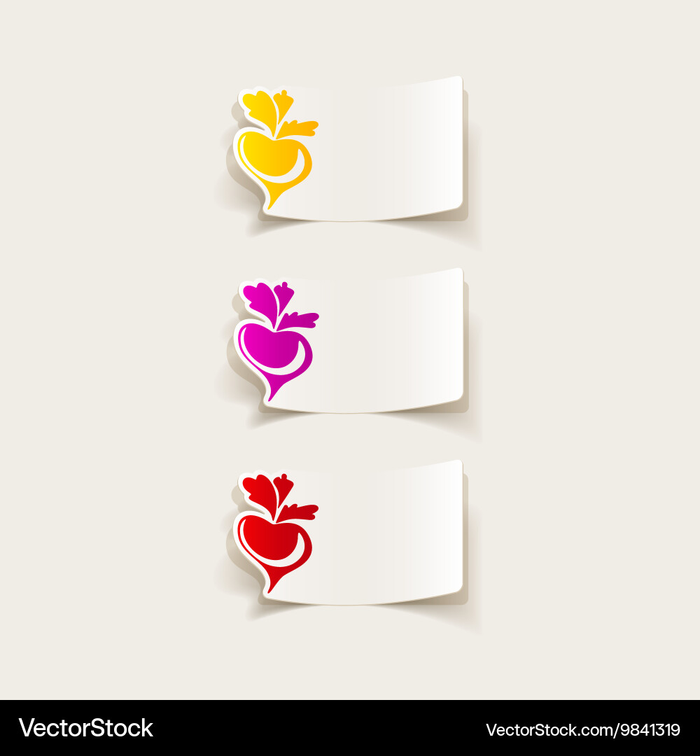 Realistic design element beet Vector Image